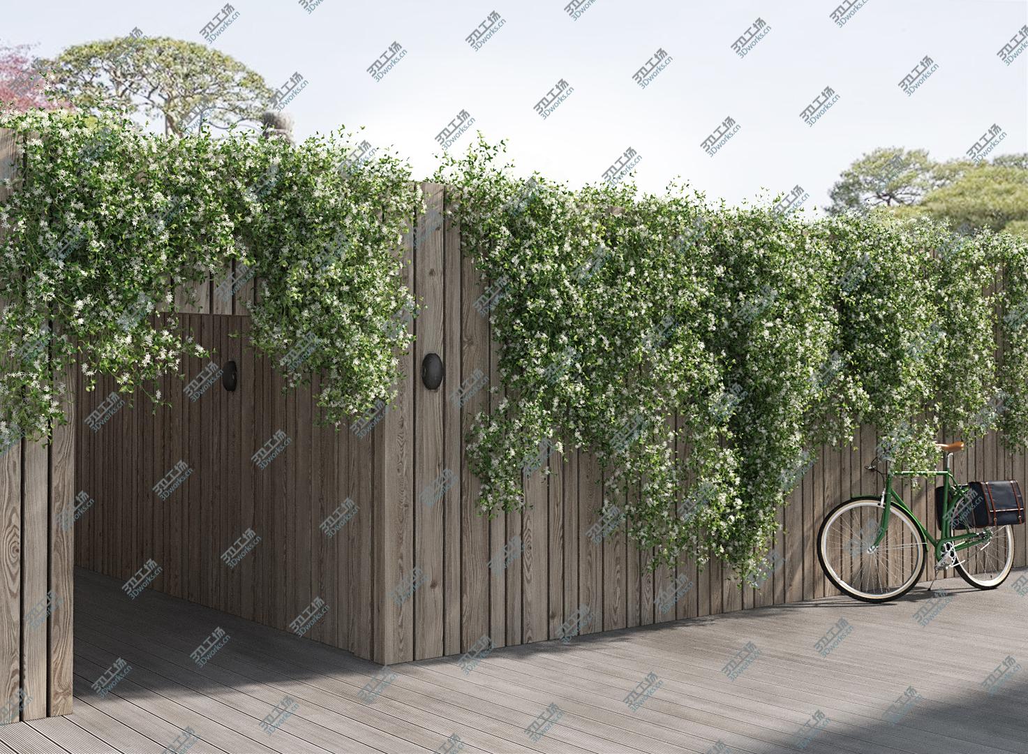 images/goods_img/202105073/Star Jasmine (-GrowFX) 3D model/2.jpg